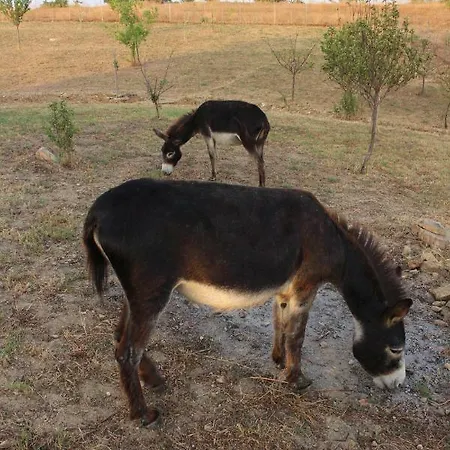 Appartement Maremma Che Vista! Campagnatico