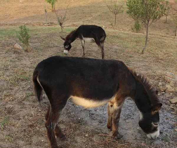 公寓 Maremma Che Vista! Campagnatico